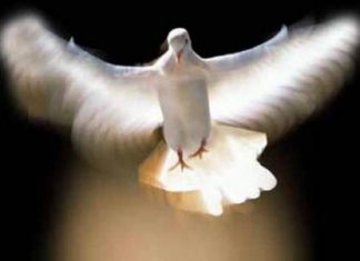 A Szentlélek a családban