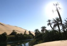 Merre van az oázis?