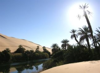 Merre van az oázis?