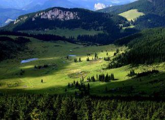 Nyár és szabadság