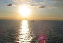 Szeretek vagy félek?