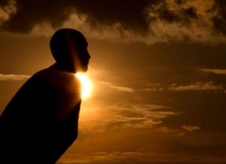 Hivatások cimlapkep ignac guelph