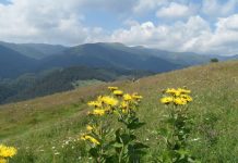 Amikor Isten valamit elkér