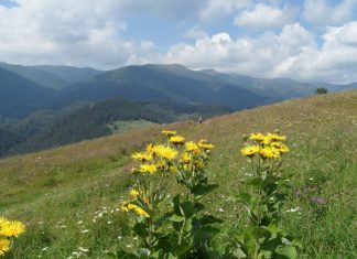 Amikor Isten valamit elkér