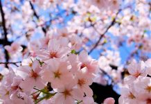 Hogyan szeret az Isten?