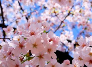 Hogyan szeret az Isten?