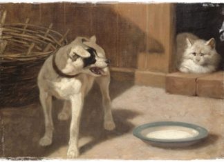 Fésűs Éva: Kutya-macska barátság (mese)