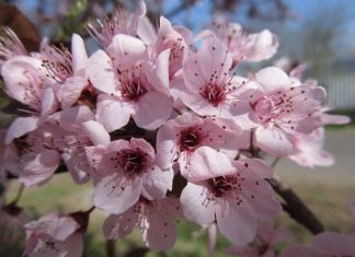 Kapcsolataink feltámadása