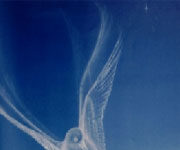 A Szentlélek hangjai a családban