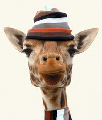 Mese – A rövidnyakú zsiráfok földjén