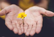 Magyar Ferenc: Boldogok a tisztaszívűek