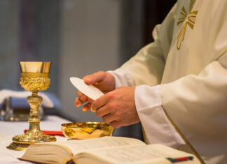 Majnek Antal megyéspüspök rendelkezései és híveihez írt levelei a járvány kapcsán